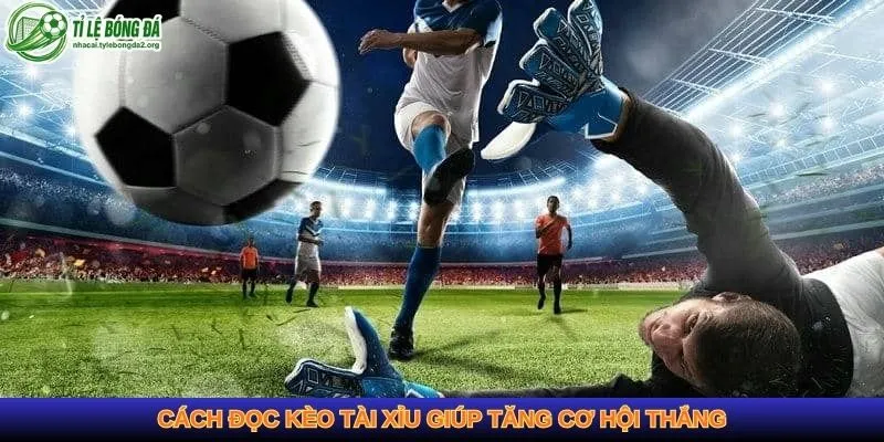 Cách đọc kèo tài xỉu giúp tăng cơ hội thắng