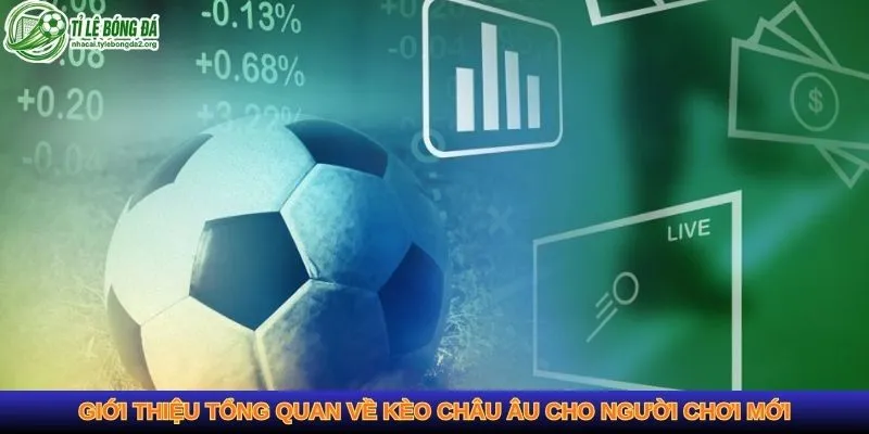 Giới thiệu tổng quan về kèo châu Âu cho người chơi mới