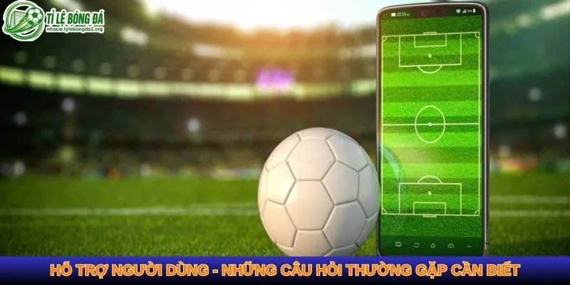 Hỗ trợ người dùng - những câu hỏi thường gặp cần biết