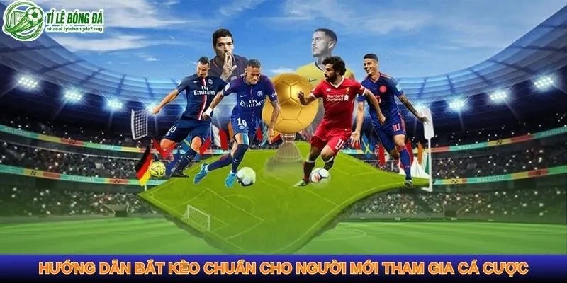 Hướng dẫn bắt kèo chuẩn cho người mới tham gia cá cược