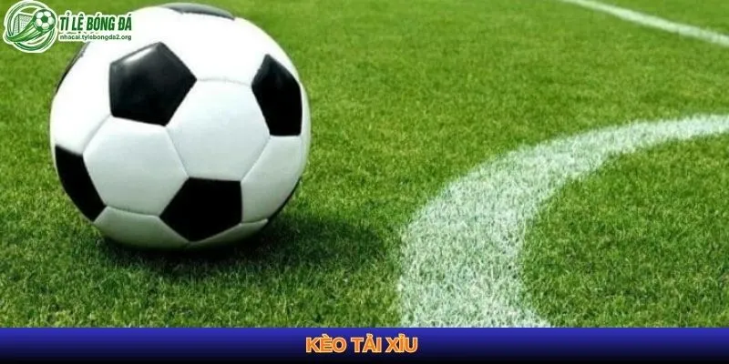 kèo tải xỉu