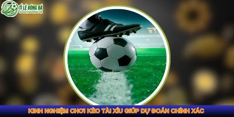 Kinh nghiệm chơi kèo tài xỉu giúp dự đoán chính xác