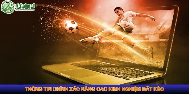 kinh nghiệm bắt kèo